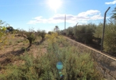 Sòl urbà en venda a la España, Elx, ref.: TR116732 foto