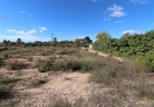 Sòl urbà en venda a la España, Elx, ref.: TR116732 foto