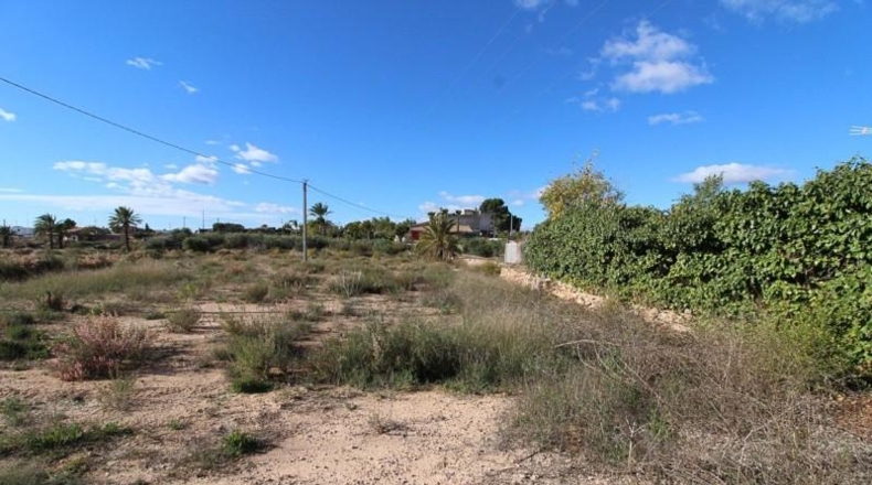 Alicante - Elche - 5033m2