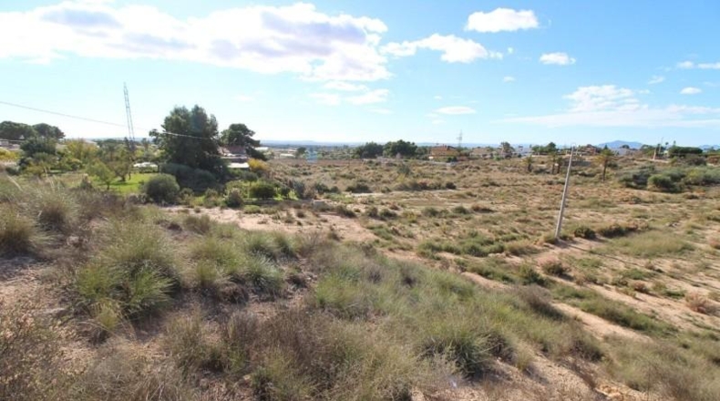 Alicante - Elche - 5033m2
