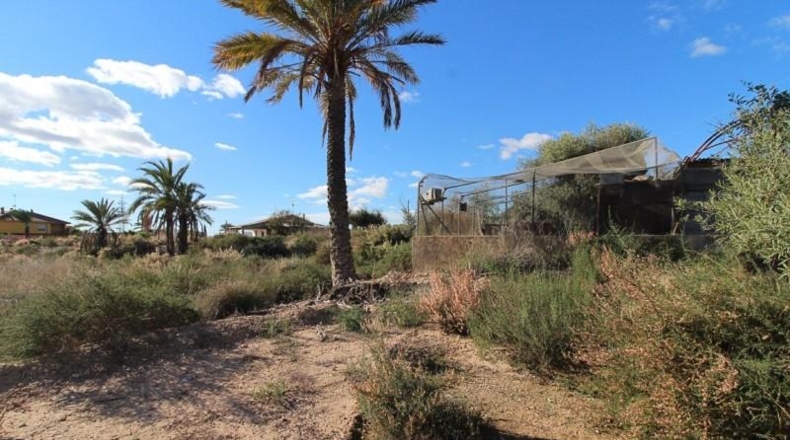 Alicante - Elche - 5033m2