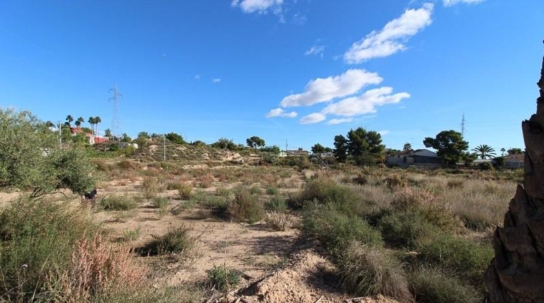 Alicante - Elche - 5033m2