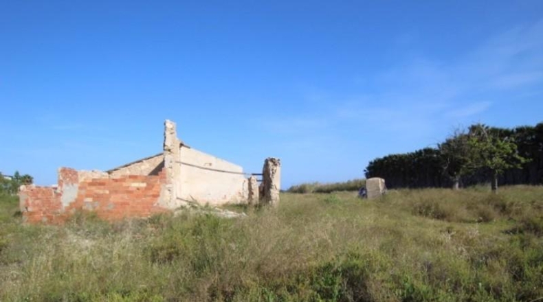 Alicante - San Fulgencio - 34000m2