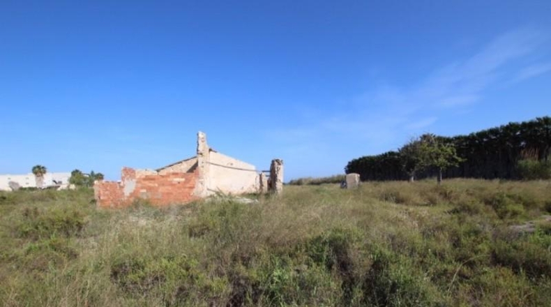 Alicante - San Fulgencio - 34000m2