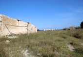 Casa de camp amb terreny en venda a la España, Sant Fulgenci, ref.: TR137637 foto
