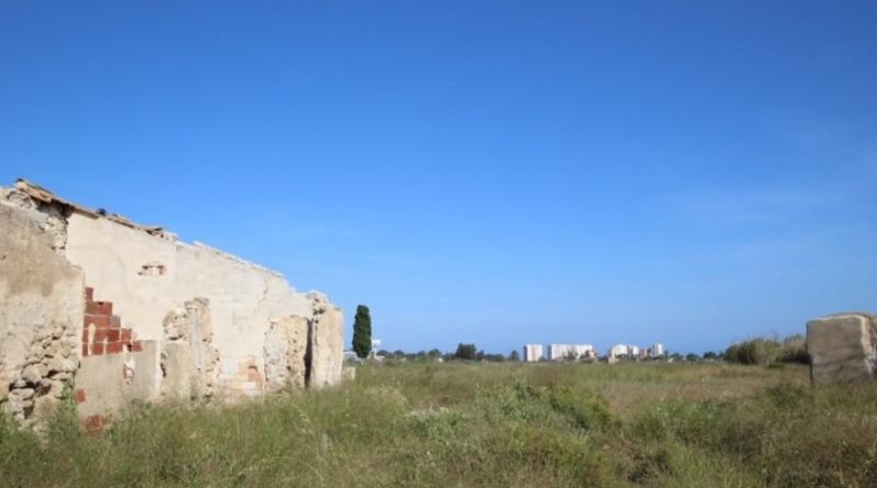 Alicante - San Fulgencio - 34000m2