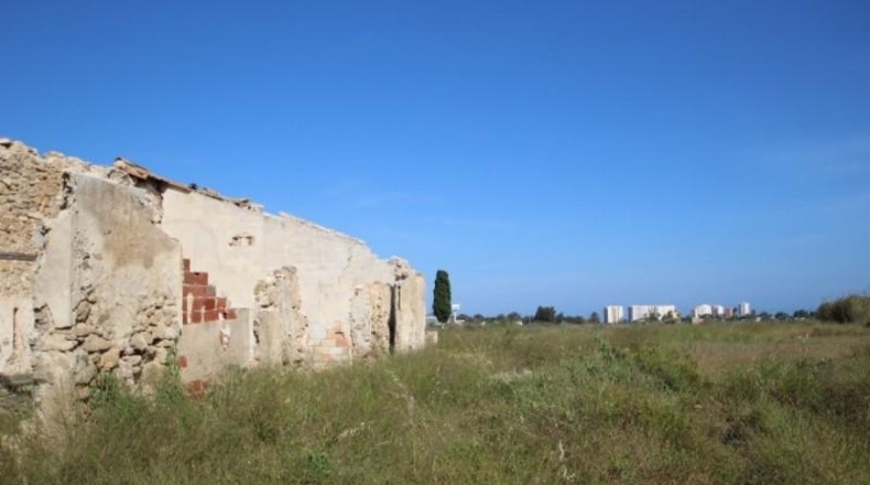 Alicante - San Fulgencio - 34000m2
