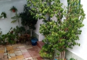 Casa de poble en venda a la España, Ubrique, ref.: TR301445 foto