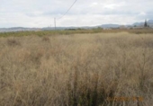 Casa de camp amb terreny en venda a la España, Novelda, ref.: TR146027 foto