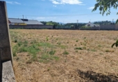 Non-developable land for sale on España, Cabañas Raras, ref: TR218341 photo