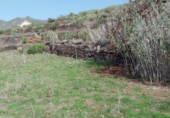 Suelo urbano en venta en la España, San Cristóbal de La Laguna, ref: TR198272 foto