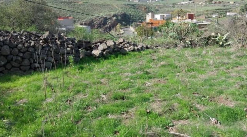 Santa Cruz de Tenerife - San Cristóbal de La Laguna - 737m2