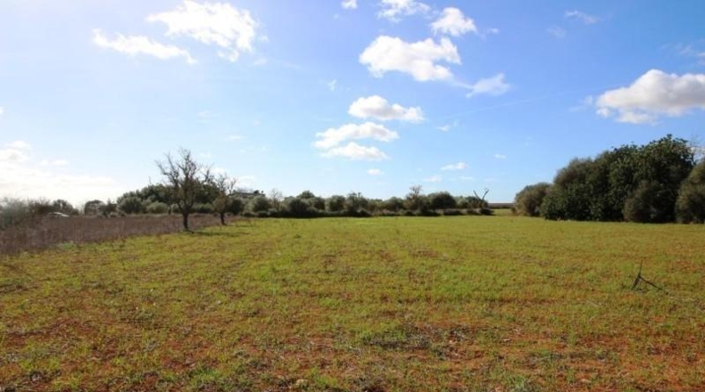 Islas Baleares - Campos - 24900m2