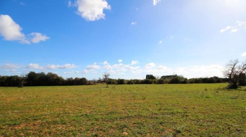 Islas Baleares - Campos - 24900m2