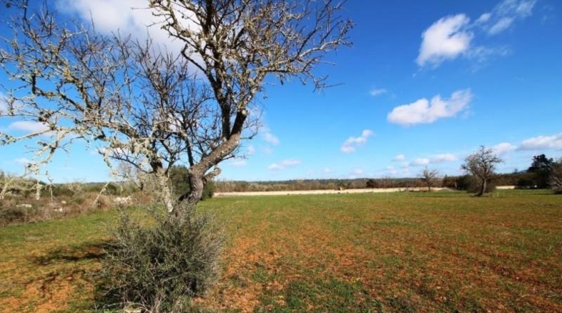 Islas Baleares - Campos - 24900m2
