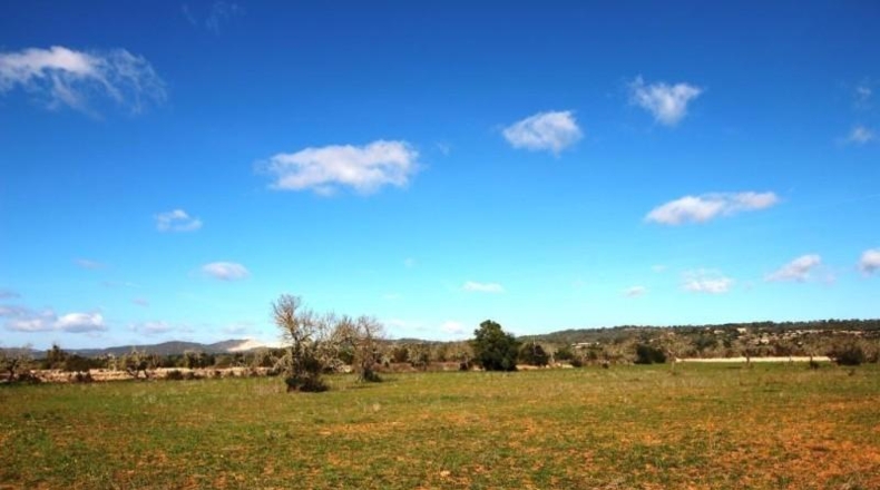 Islas Baleares - Campos - 24900m2