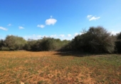 Земля на продажу у города Кампос Фото