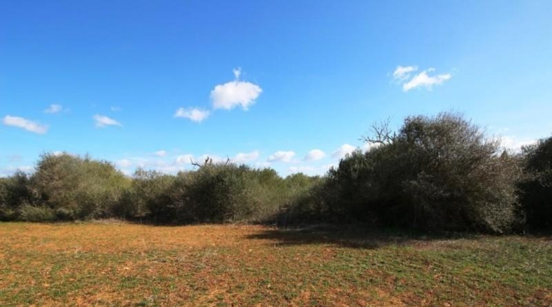 Islas Baleares - Campos - 24900m2
