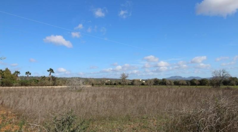 Islas Baleares - Campos - 24900m2