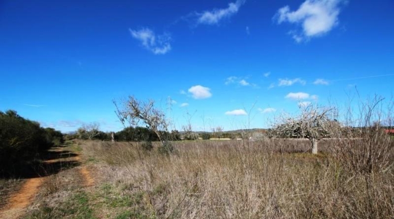 Islas Baleares - Campos - 24900m2