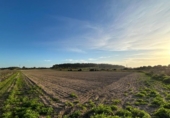 Non-developable land for sale on España, Porreras, ref: TR179807 photo