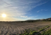 Non-developable land for sale on España, Porreras, ref: TR179807 photo