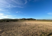 Non-developable land for sale on España, Porreras, ref: TR179807 photo