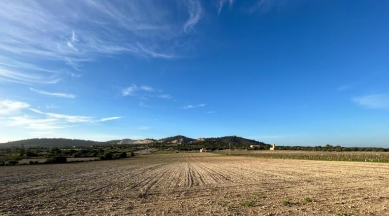 Islas Baleares - Porreras - 30907m2