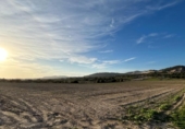 Non-developable land for sale on España, Porreras, ref: TR179807 photo