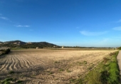 Non-developable land for sale on España, Porreras, ref: TR179807 photo