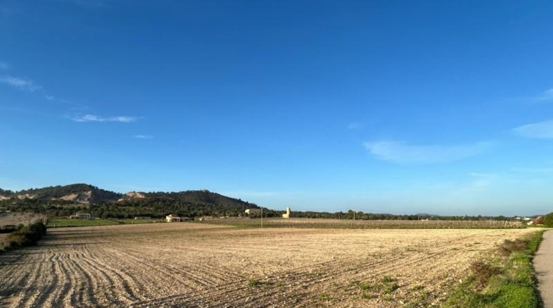 Islas Baleares - Porreras - 30907m2