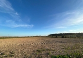 Non-developable land for sale on España, Porreras, ref: TR179807 photo