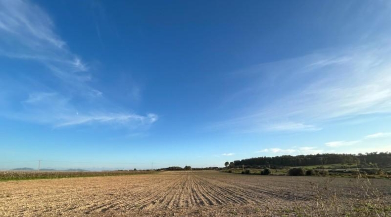 Islas Baleares - Porreras - 30907m2