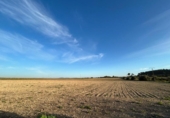 Non-developable land for sale on España, Porreras, ref: TR179807 photo