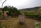 Casa de camp amb terreny en venda a la España, Plasencia, ref.: TR152025 foto