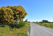 Земля на продажу у города Chiclana de la Frontera Фото