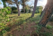 Urban land for sale on España, Montmeló, ref: TR131337 photo