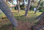 Parcel·la urbanitzable en venda a la España, Montmeló, ref.: TR131339 foto