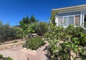 Xalet independent amb terreny en venda a la España, Alcanar, ref.: TR321477 foto