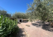Xalet independent amb terreny en venda a la España, Alcanar, ref.: TR321477 foto