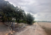 Casa de campo con terreno en venta en la España, Orihuela, ref: TR328447 foto