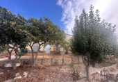 Casa de campo con terreno en venta en la España, Orihuela, ref: TR328447 foto