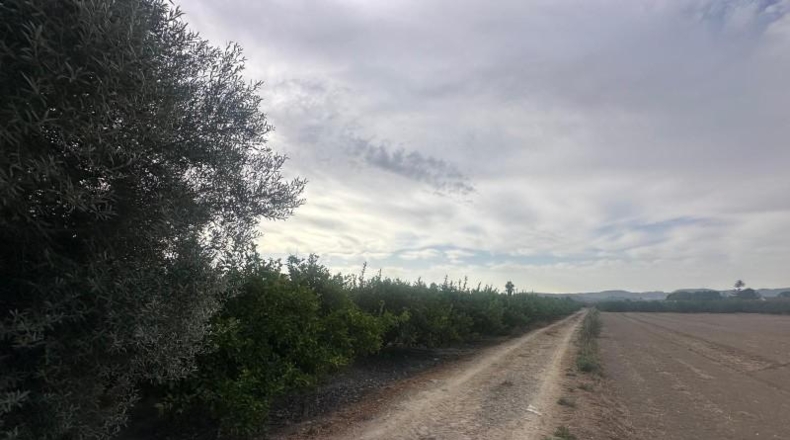 Аликанте - Oriola - 6200m2