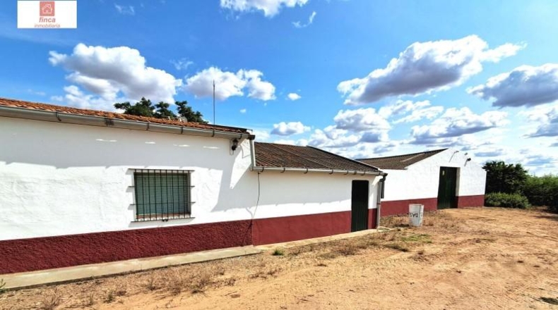 Badajoz - Montijo - 27820m2
