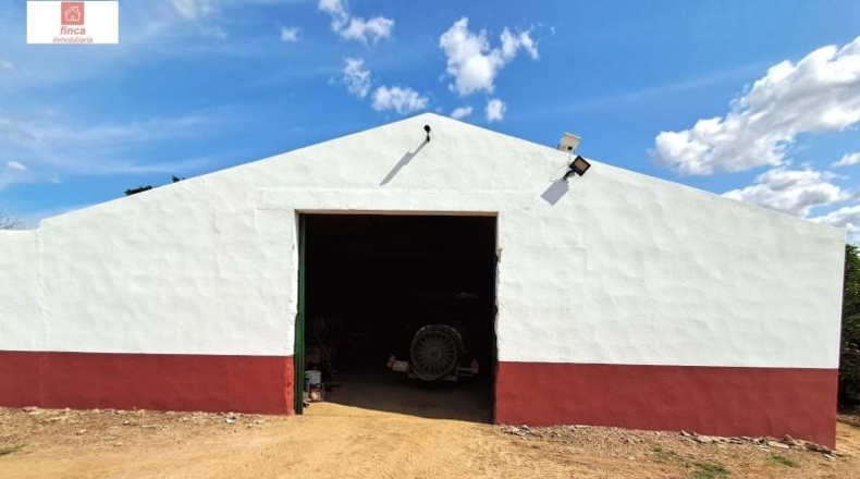 Badajoz - Montijo - 27820m2