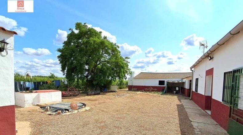 Badajoz - Montijo - 27820m2