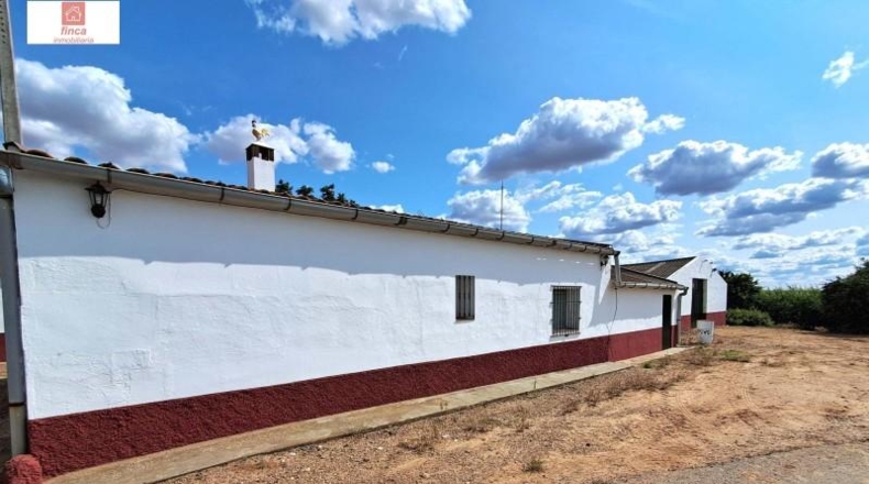 Badajoz - Montijo - 27820m2
