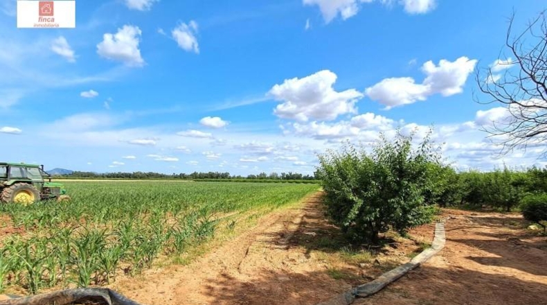Badajoz - Montijo - 27820m2