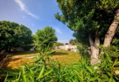 Chalet independiente con terreno en venta en la España, Gallur, ref: TR255280 foto