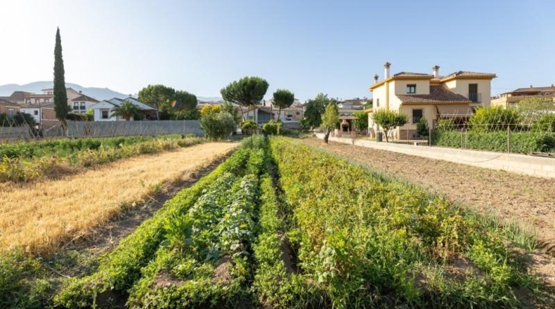 Granada - La Zubia - 1060m2